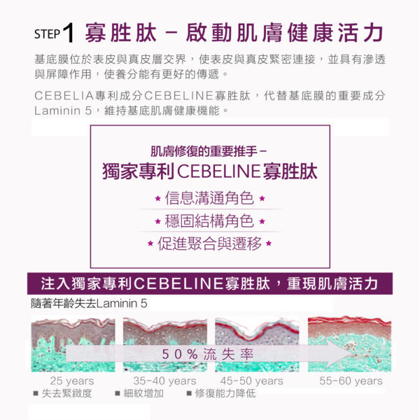 Cebelia 【抗老專家】 Intensive Anti-Aging 抗化/寡胜肽逆齡緊緻霜