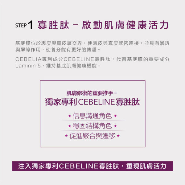 Cebelia 【修復癒合霜】 L.C.E. Balm 寡胜肽再生